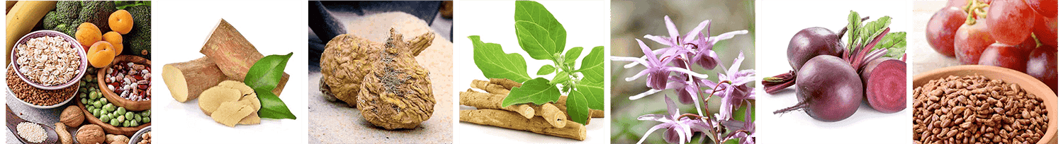 Spartamax Ingredients